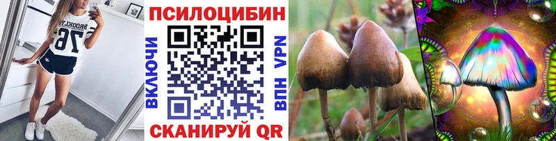 МЕГА зеркало  цены наркотик  Афипский  Галлюциногенные грибы GOLDEN TEACHER 